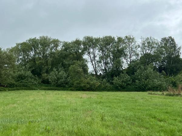 One of the estate’s fields, bordered by hedgerow