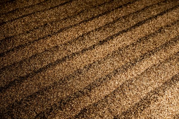 Bags of packaged craft malt at Admiral Maltings
