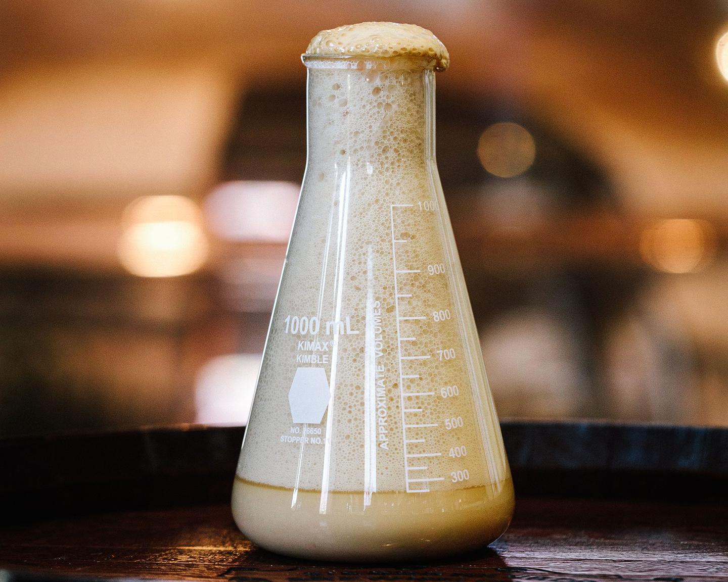 Sierra Nevada Weizenbock bottle