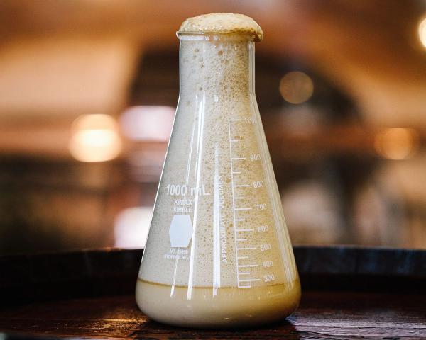 Sierra Nevada Weizenbock bottle