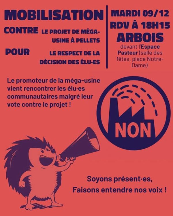 Affiche de la mobilisation
