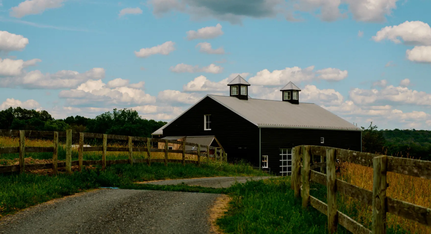 Simon　skyhighfarm Sky High Farm | About