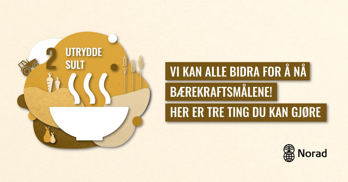 3 Tips Til Hva Du Kan Gjøre For Bærekraftsmål 2