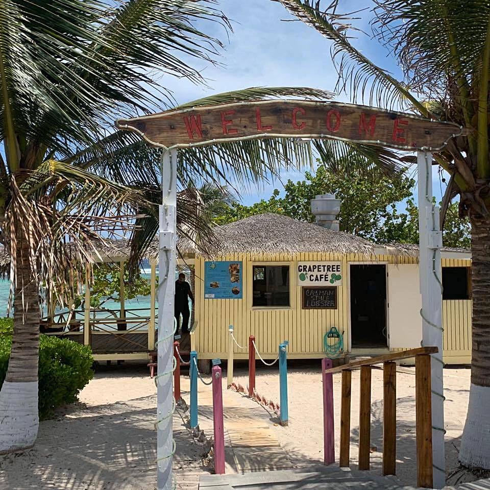 Best Restaurant in Cayman Islands Grape Tree Cafe