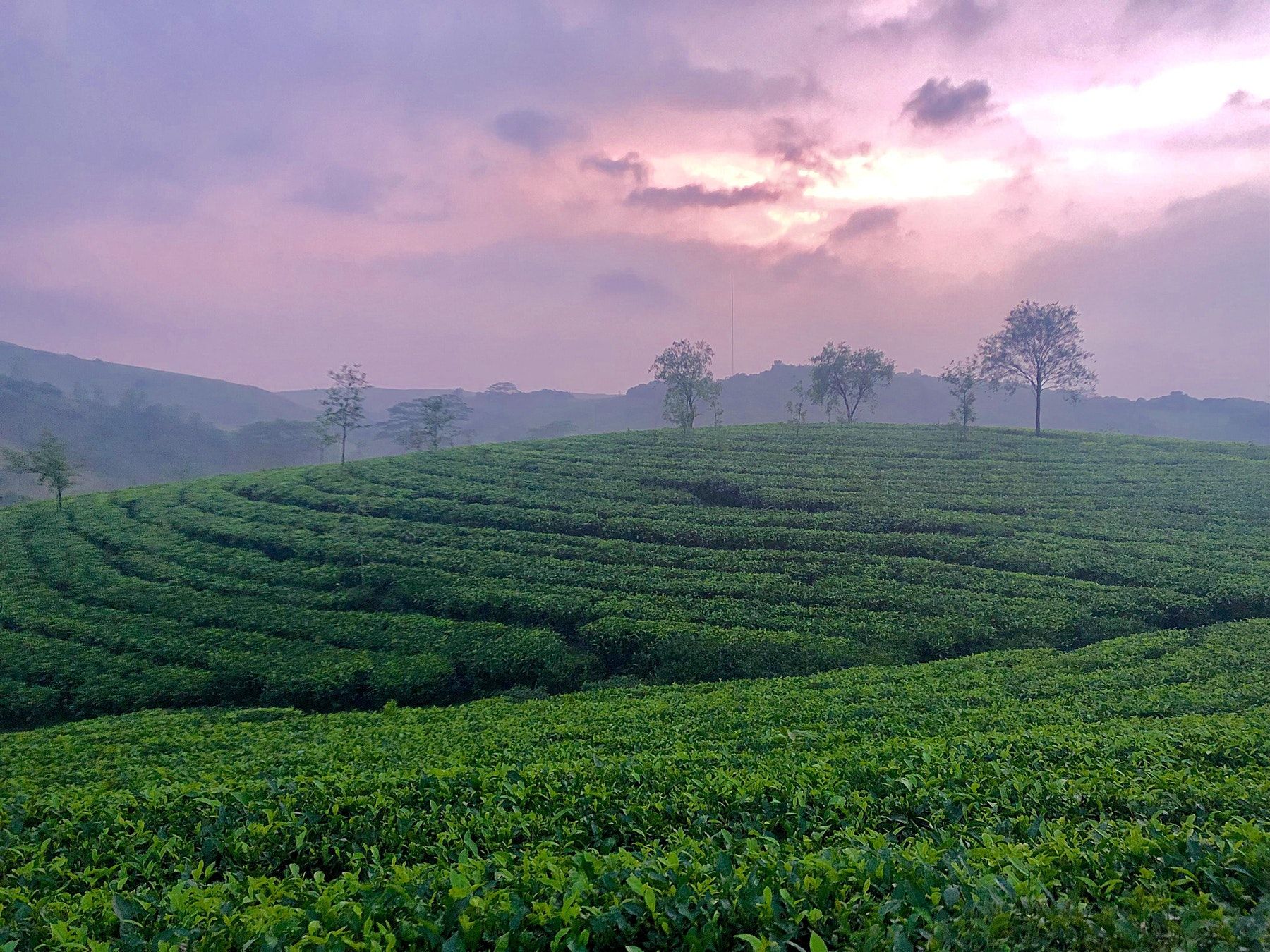 5 Things To Do In Vagamon