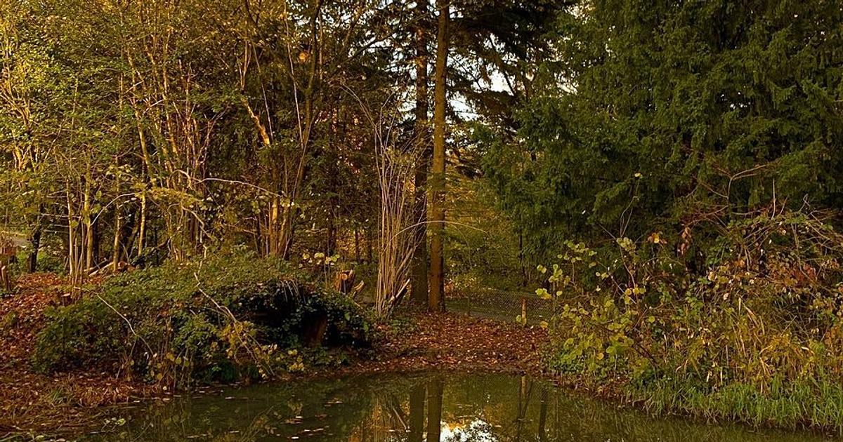 Grafenberg Forest, Dusseldorf, Germany