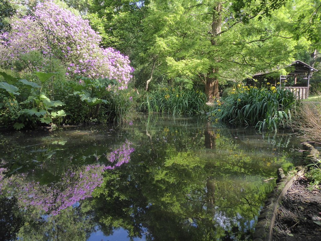 Japanese Garden in Peckham Common Park, London, England
