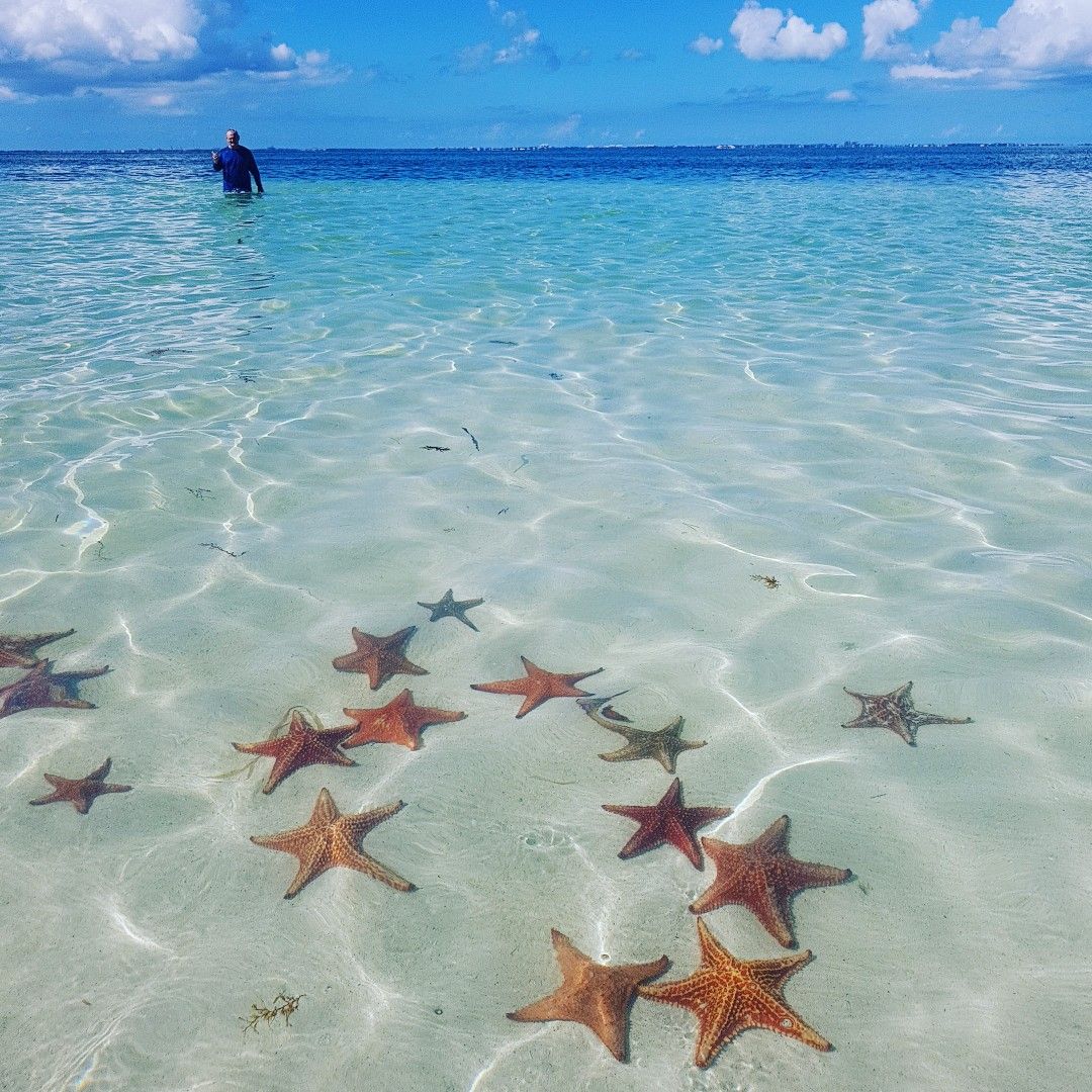 Star fish point, Cayman Islands