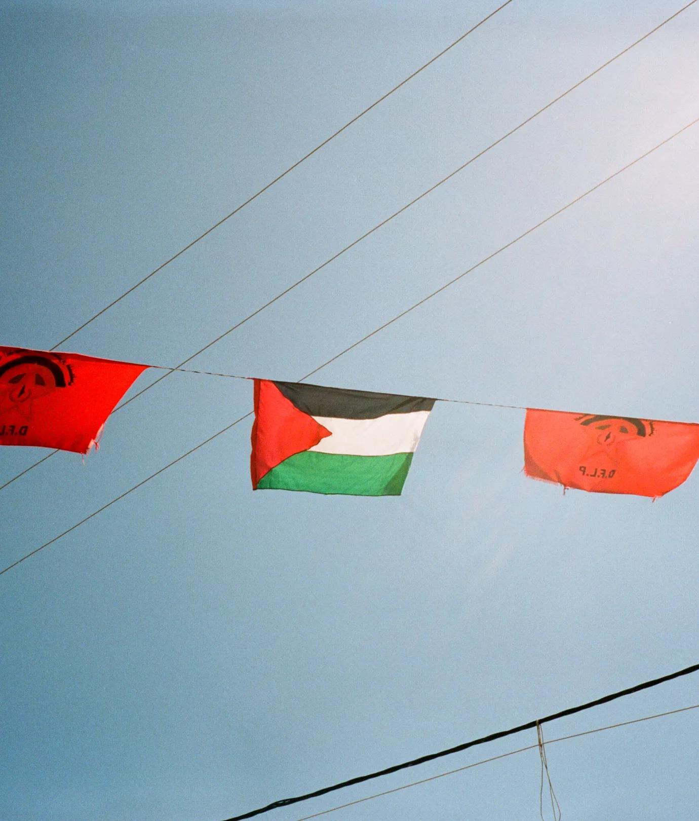 How You Can Support Palestine