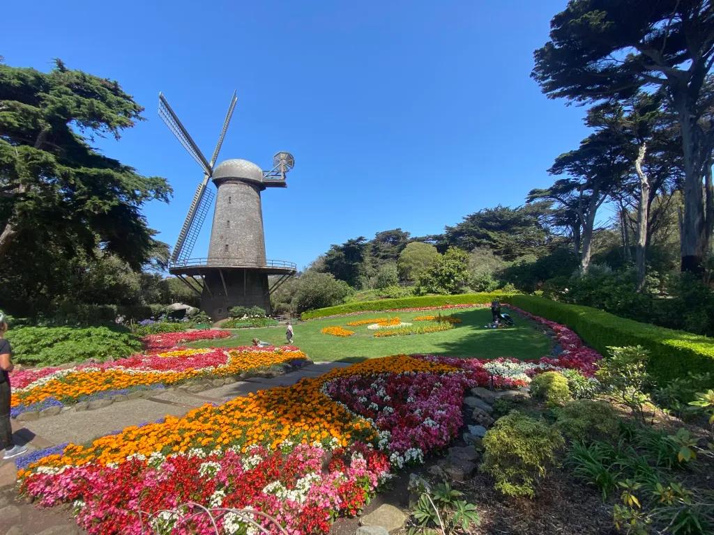 Bison Paddock and Dutch Windmill Golden Gate Park