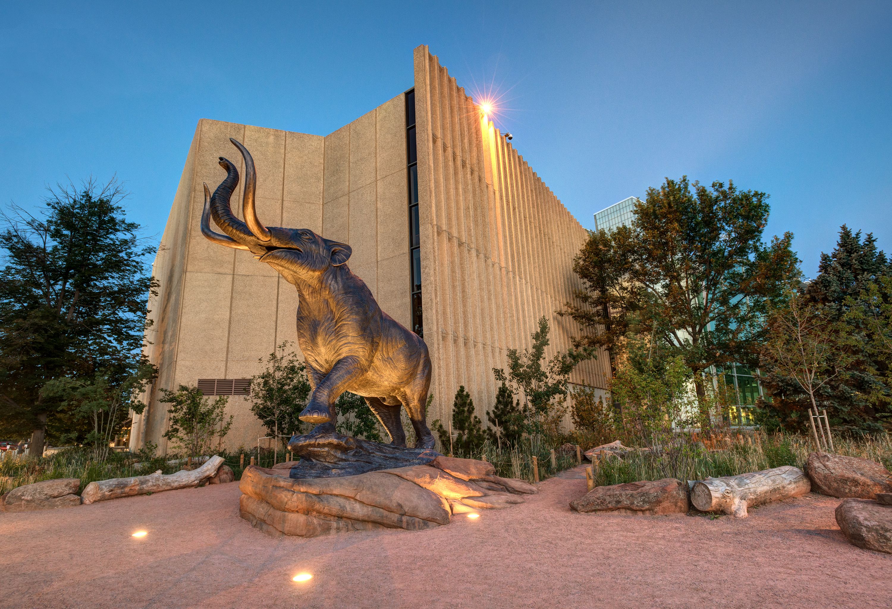 Denver Nature And Science Museum On Trippin