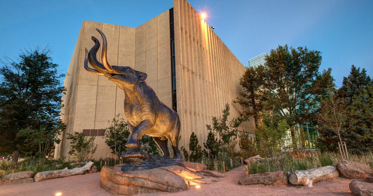 Denver Nature And Science Museum On Trippin denver-nature-and-science-museum-on-trippin