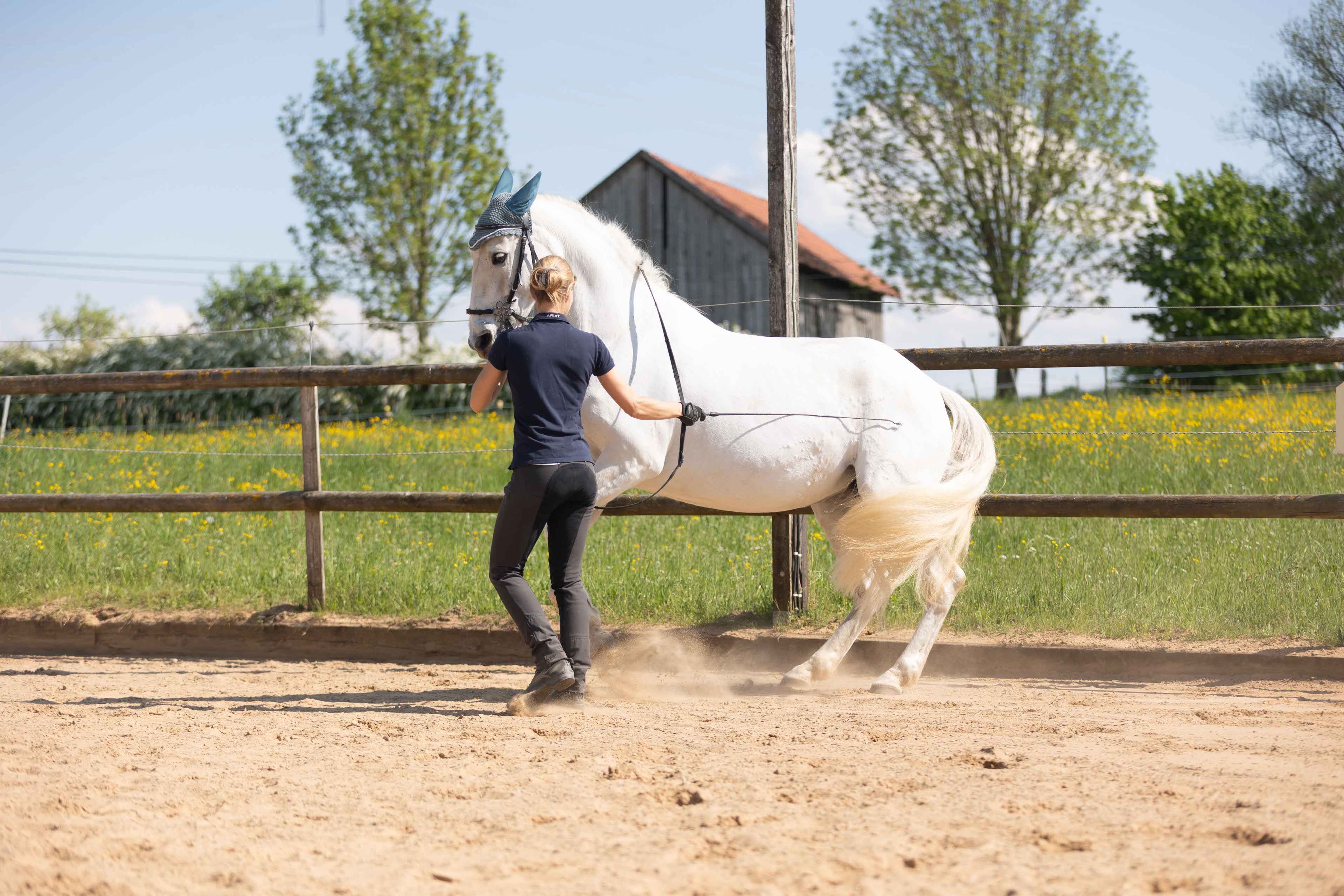 Tageskurs Krafttraining