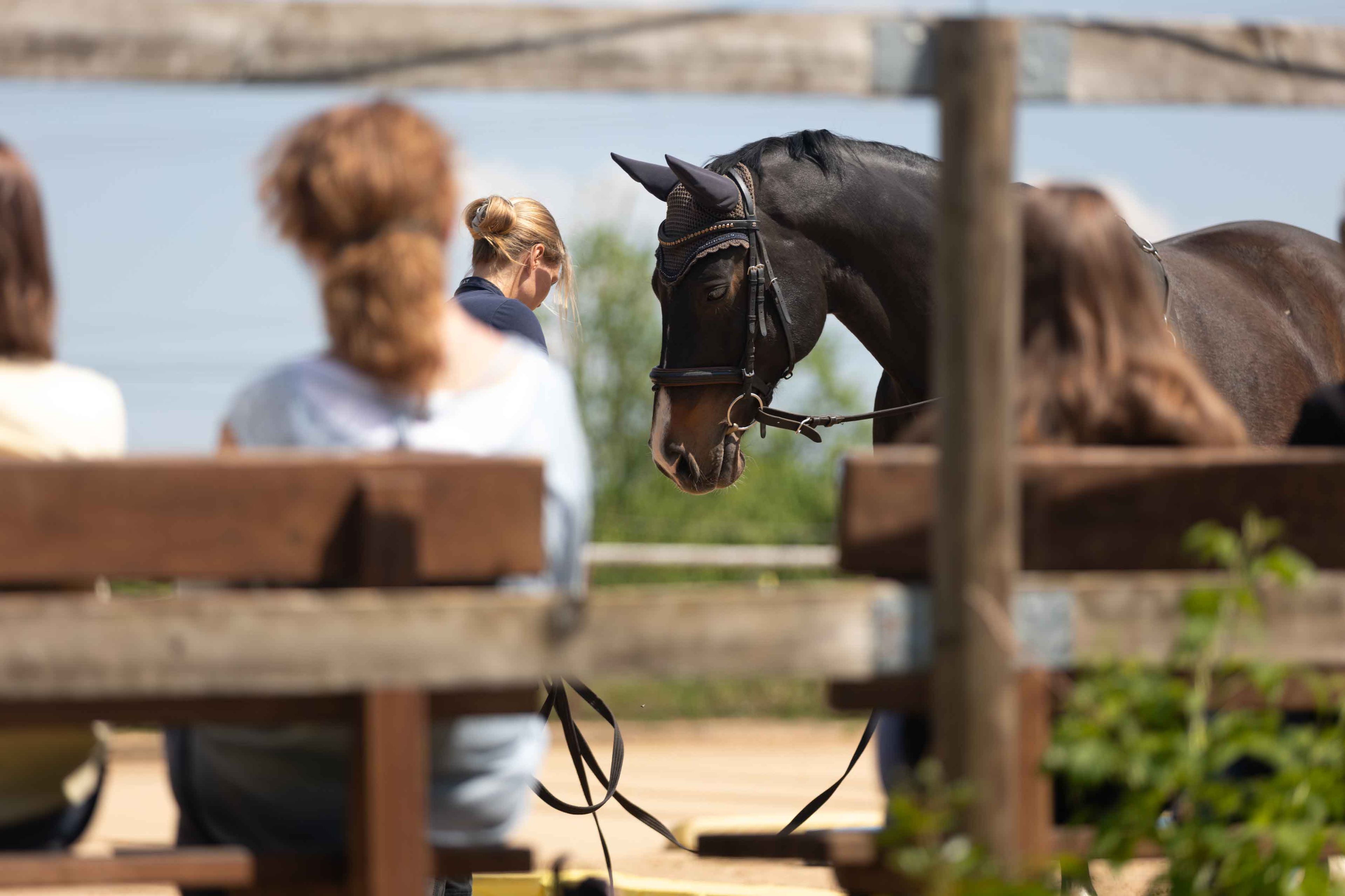 Offenes Training