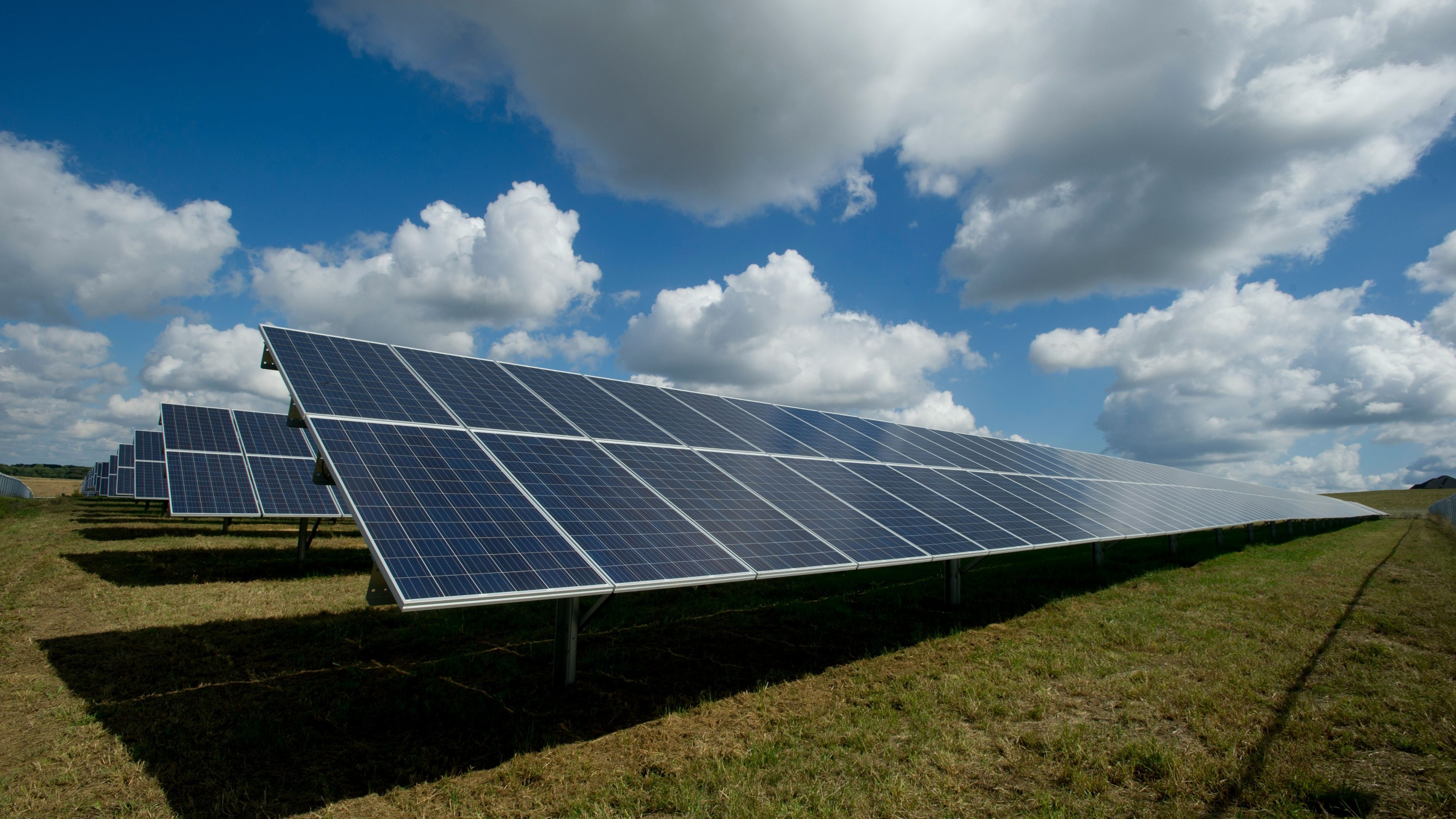 Renewable Energy