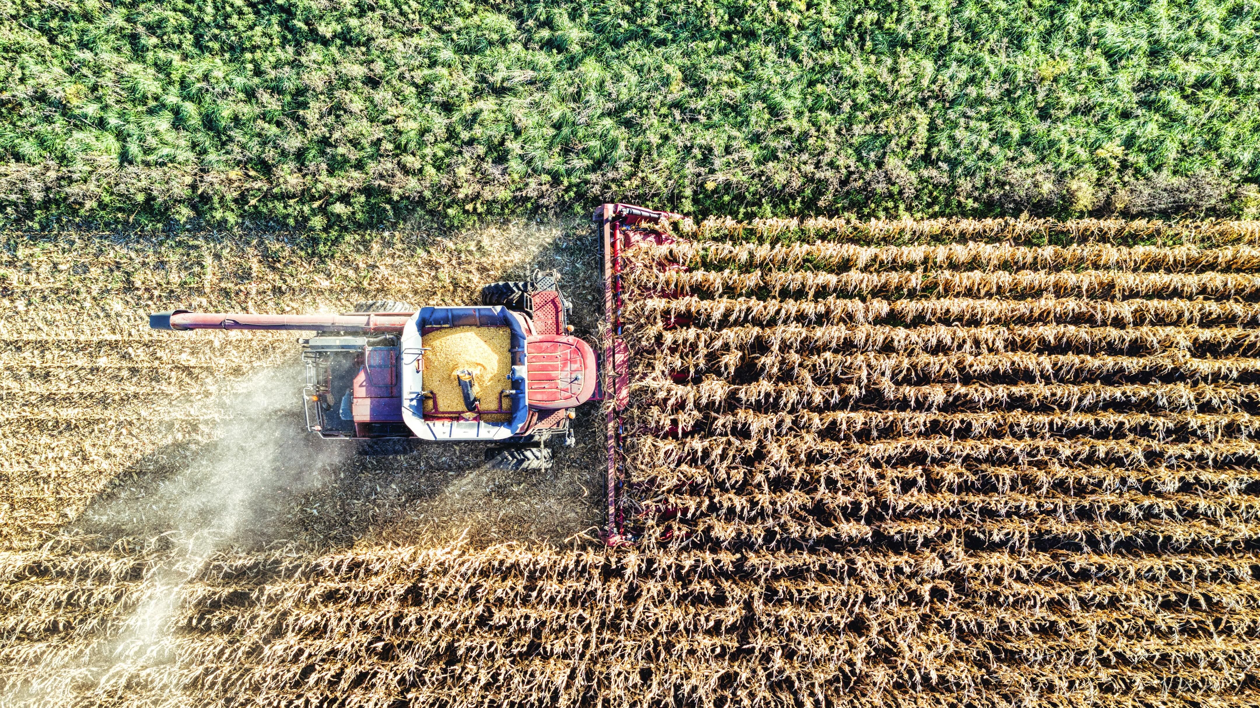 Agriculture