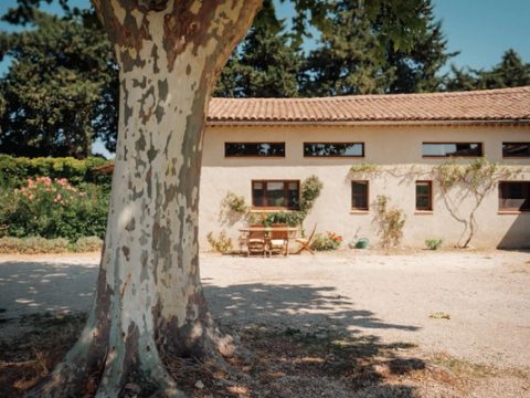 Le gîte et son platane