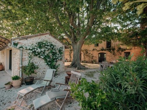 La cour, les transats à l'ombre