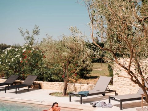 La piscine et le jardin