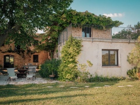 Le jardin, côté vignes