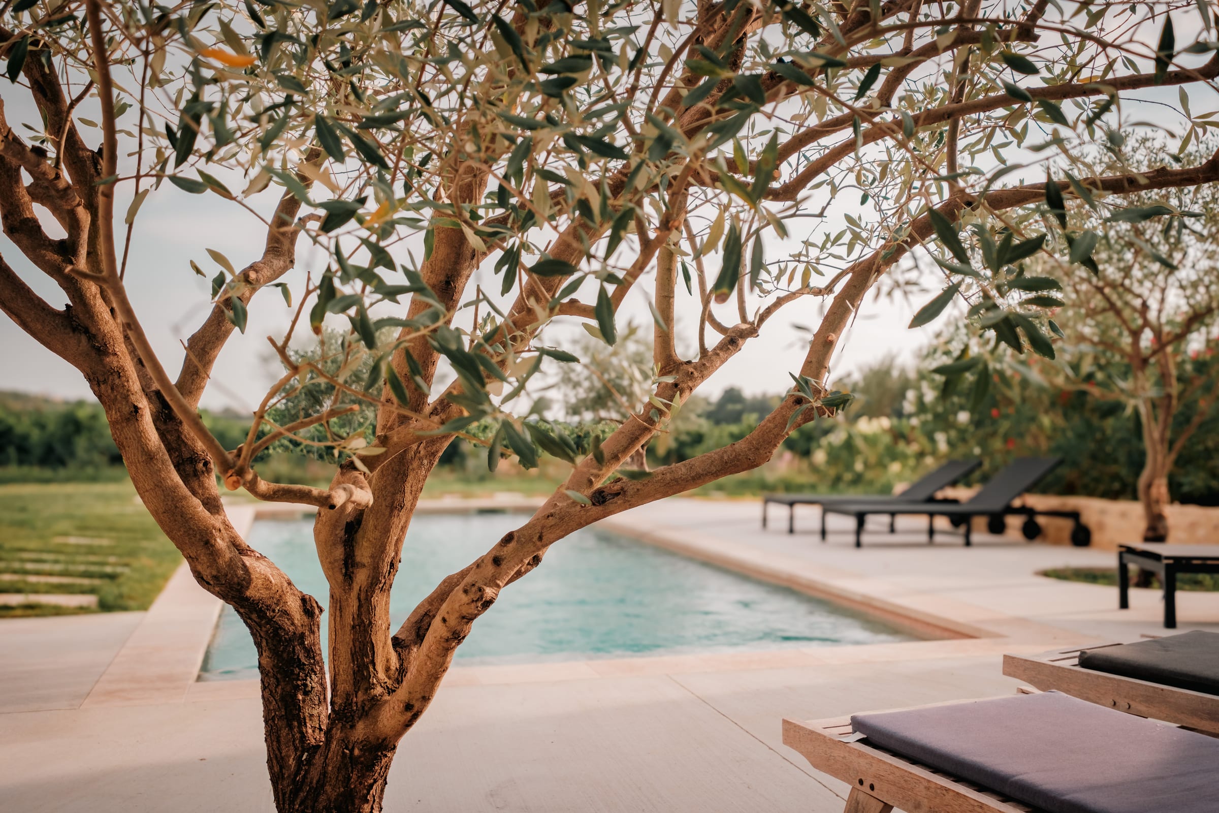 La piscine, de mai à octobre