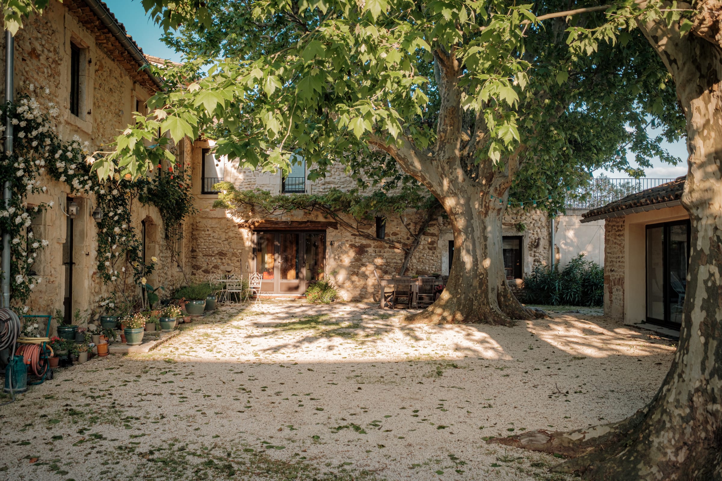 La cour et son platane