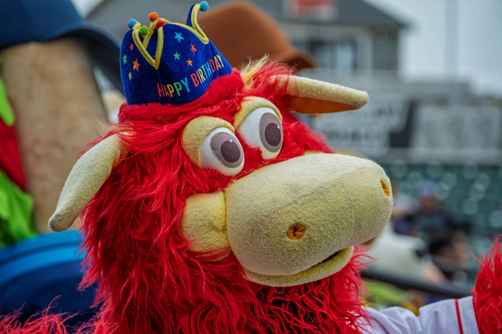 2026- Downtown B-Day Party ,York PA, photograph 78 by Charlie-Roe Photography