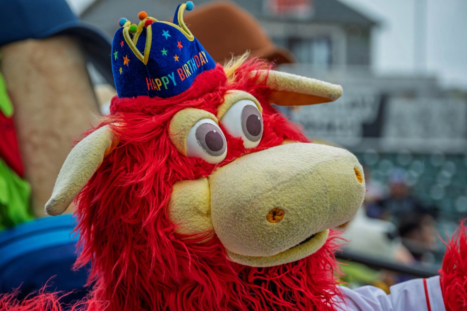 2026- Downtown B-Day Party ,York PA, photograph 78 by Charlie-Roe Photography
