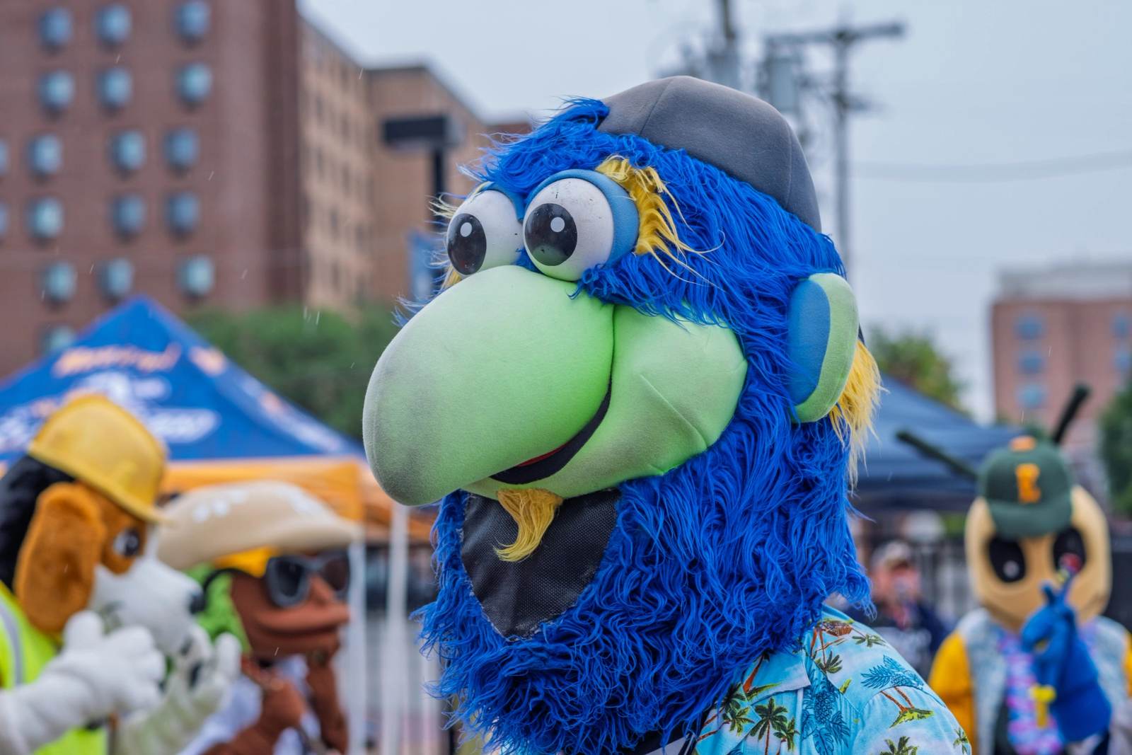 2026- Downtown B-Day Party ,York PA, photograph 52 by Charlie-Roe Photography