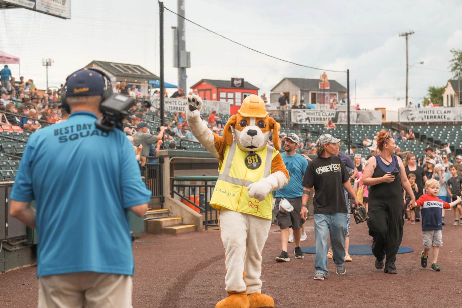 Gallery image 57