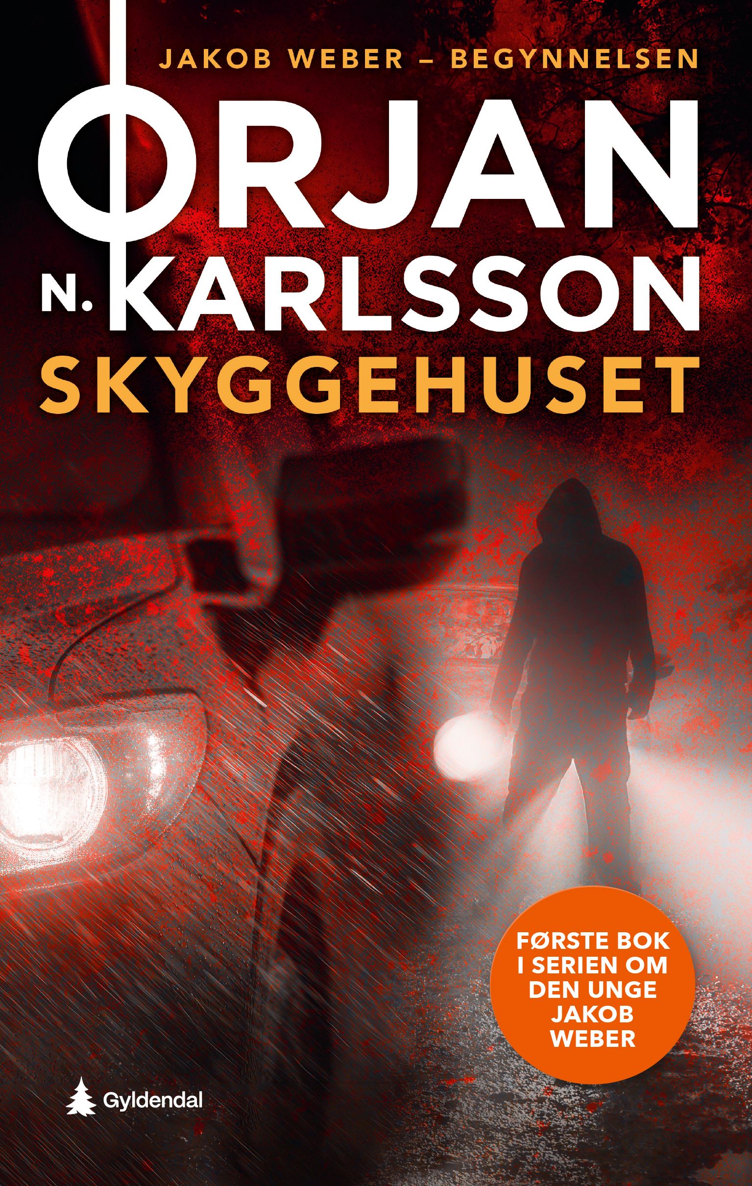 Cover of The House of Shadows