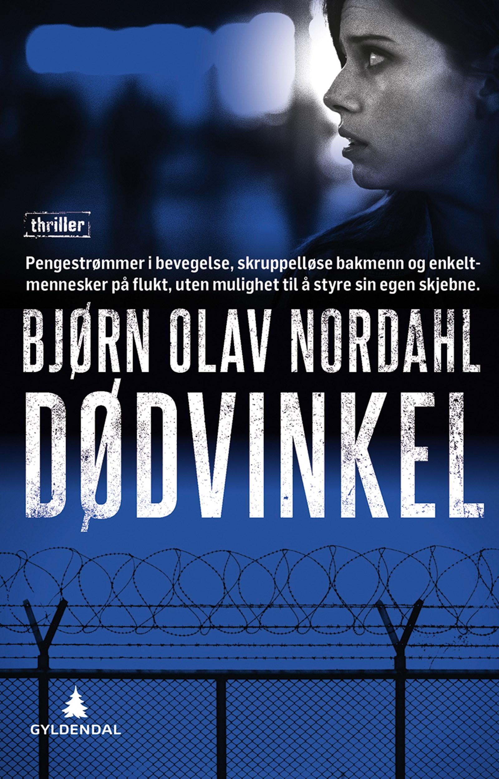 Cover of Blind Spot