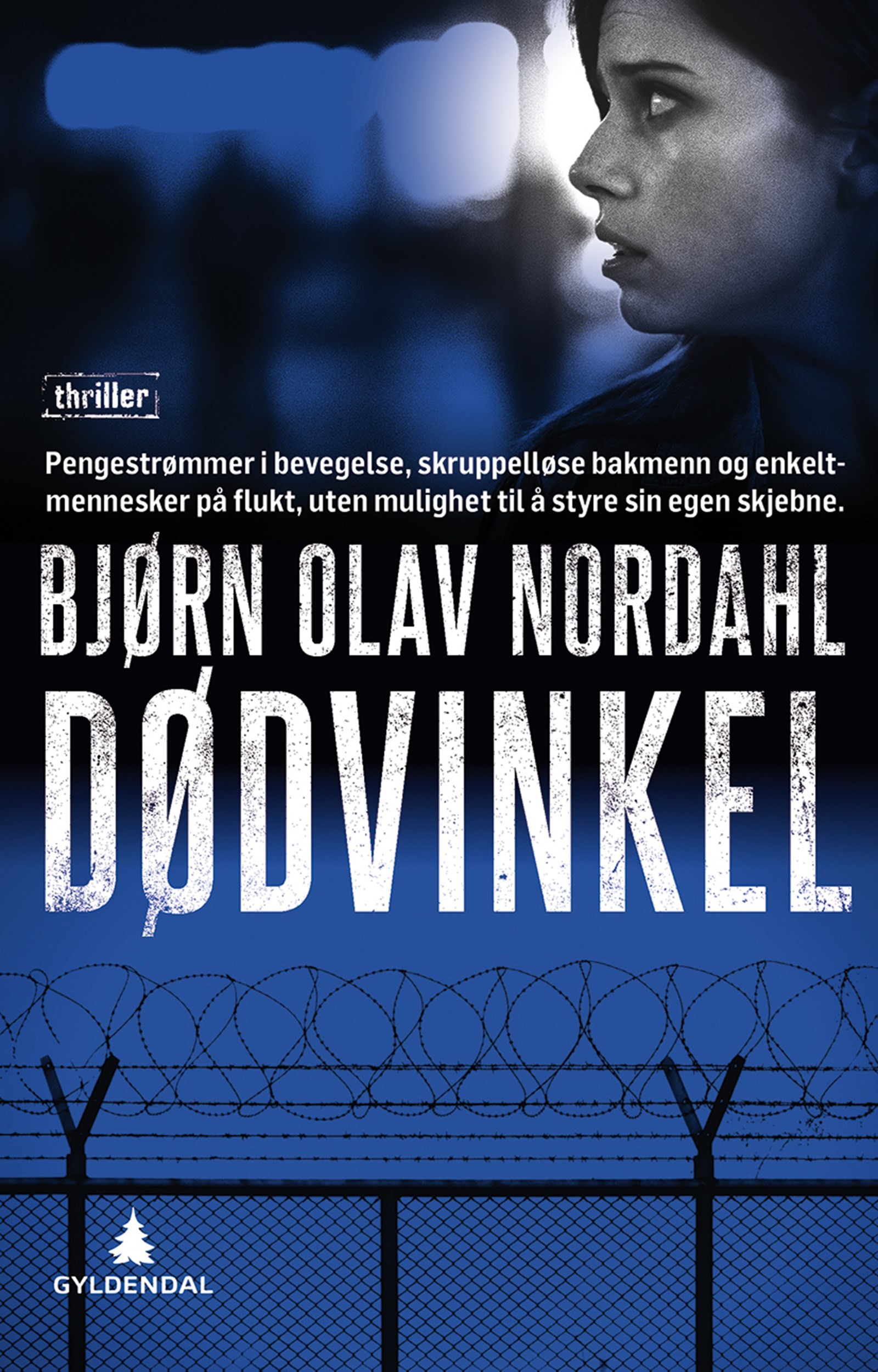 Cover of Blind Spot