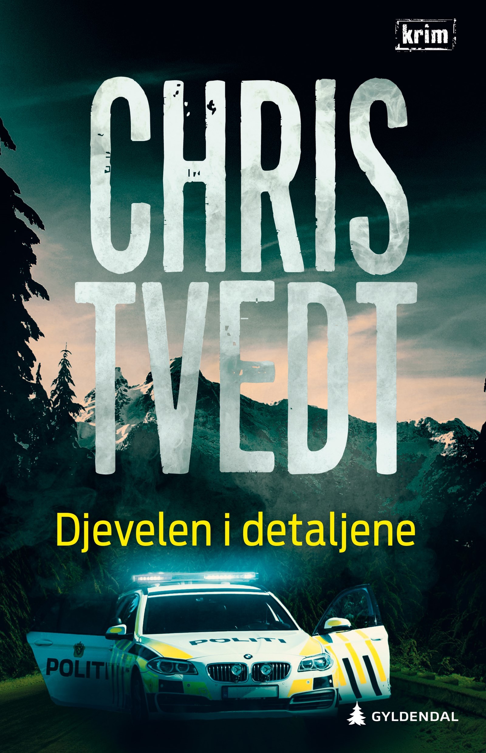Cover of The Devil in the Details