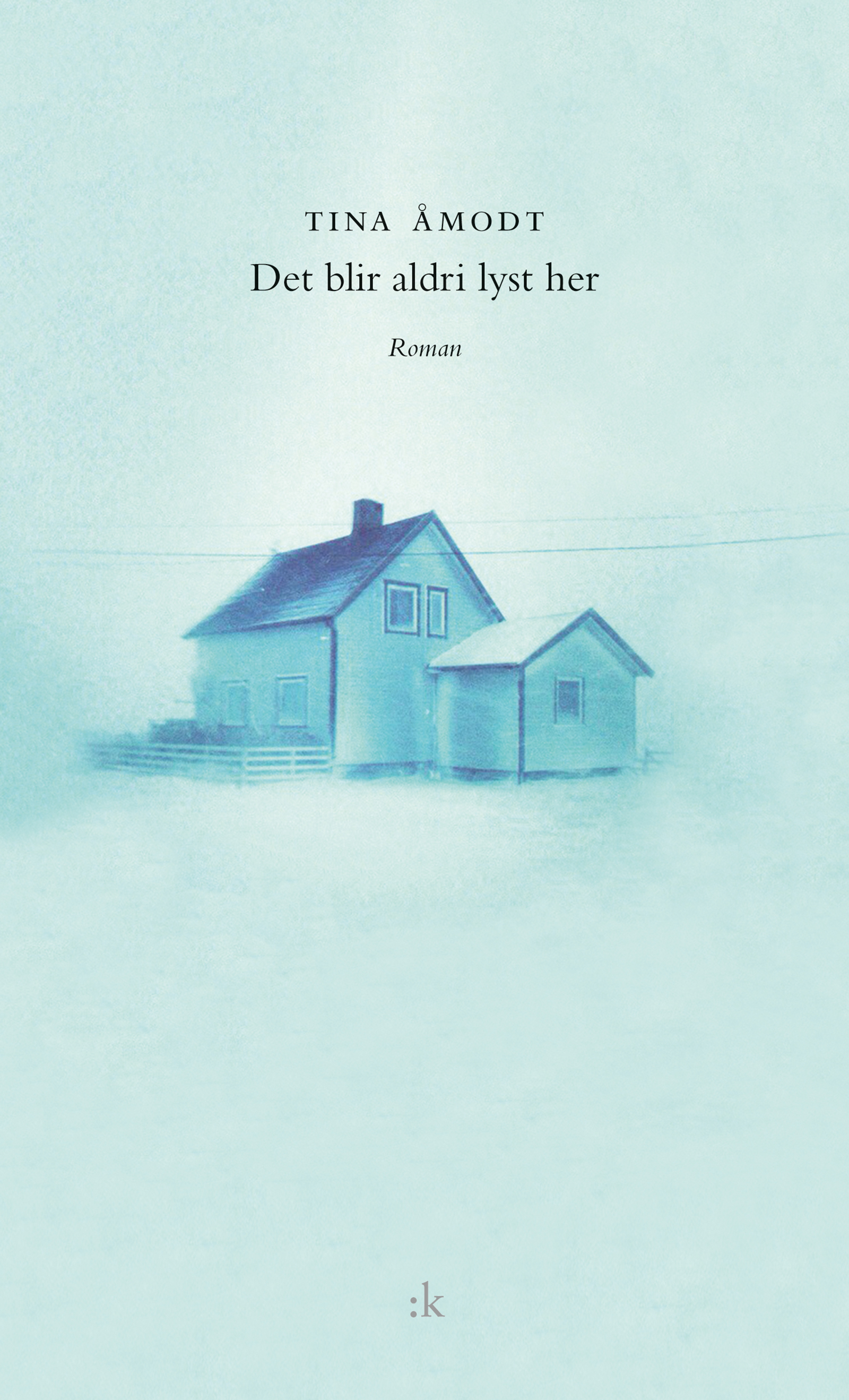 Cover of It Never Gets Light Here
