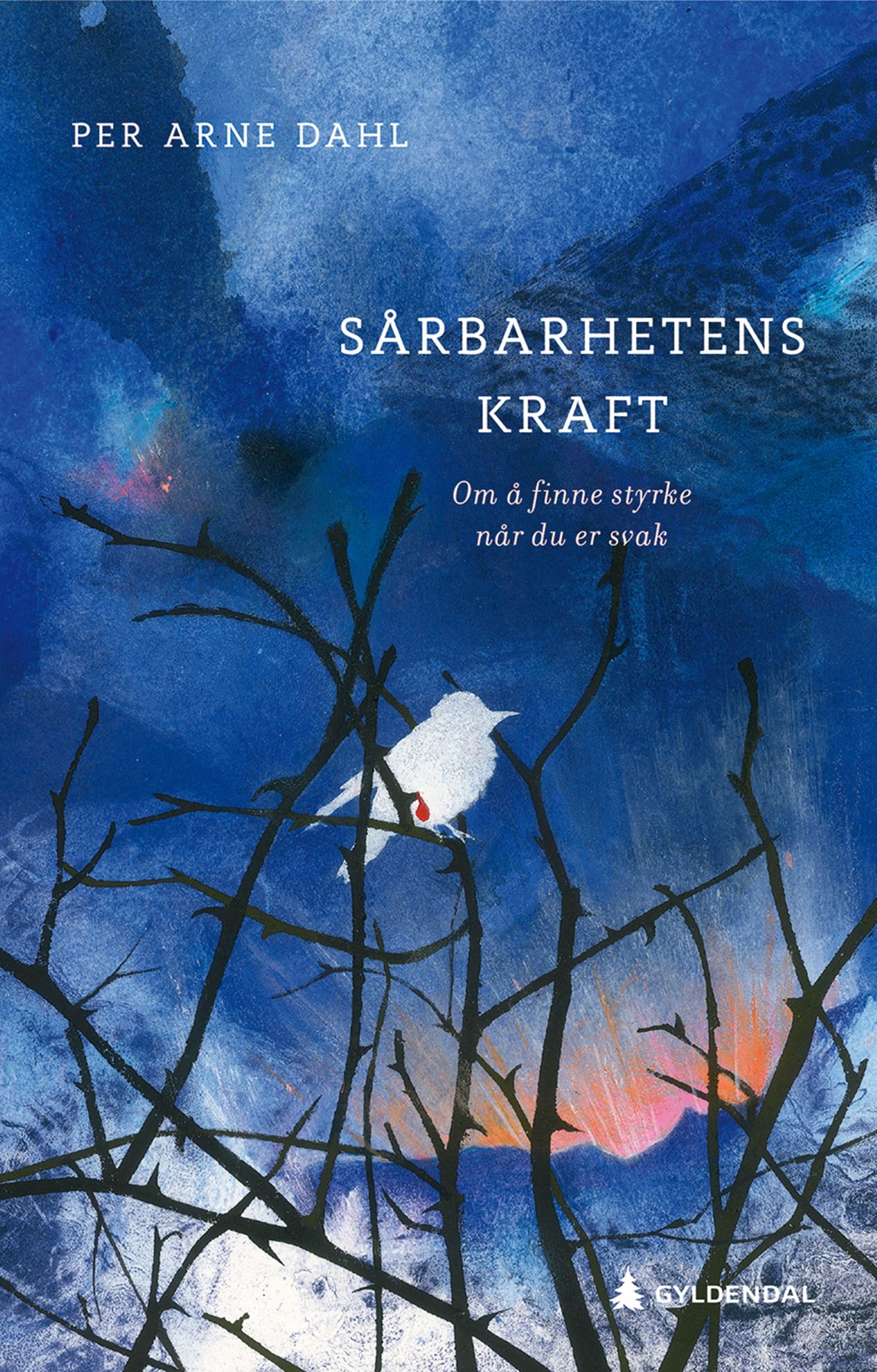 Cover of The Power of Vulnerability