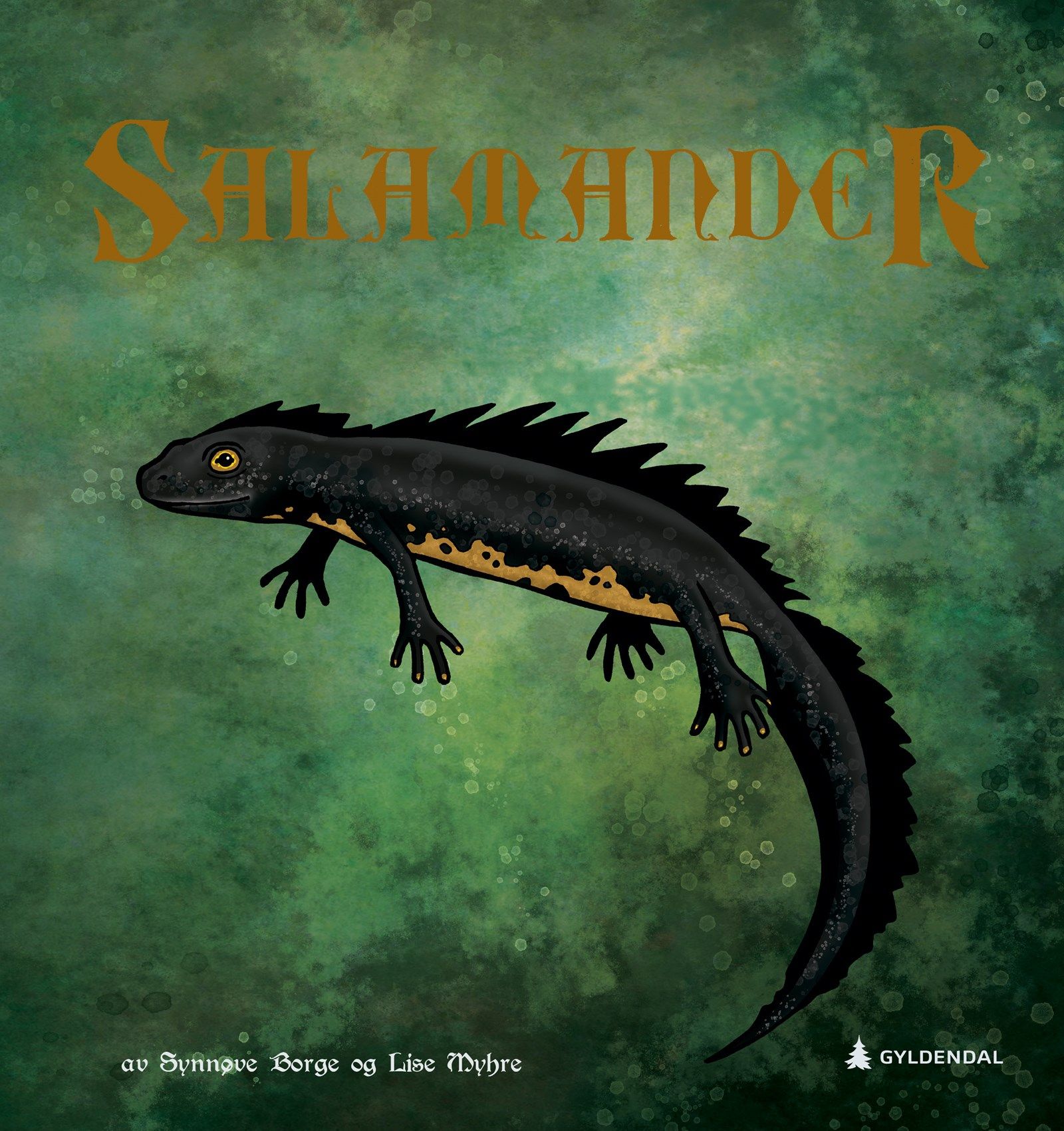 Cover of Newt