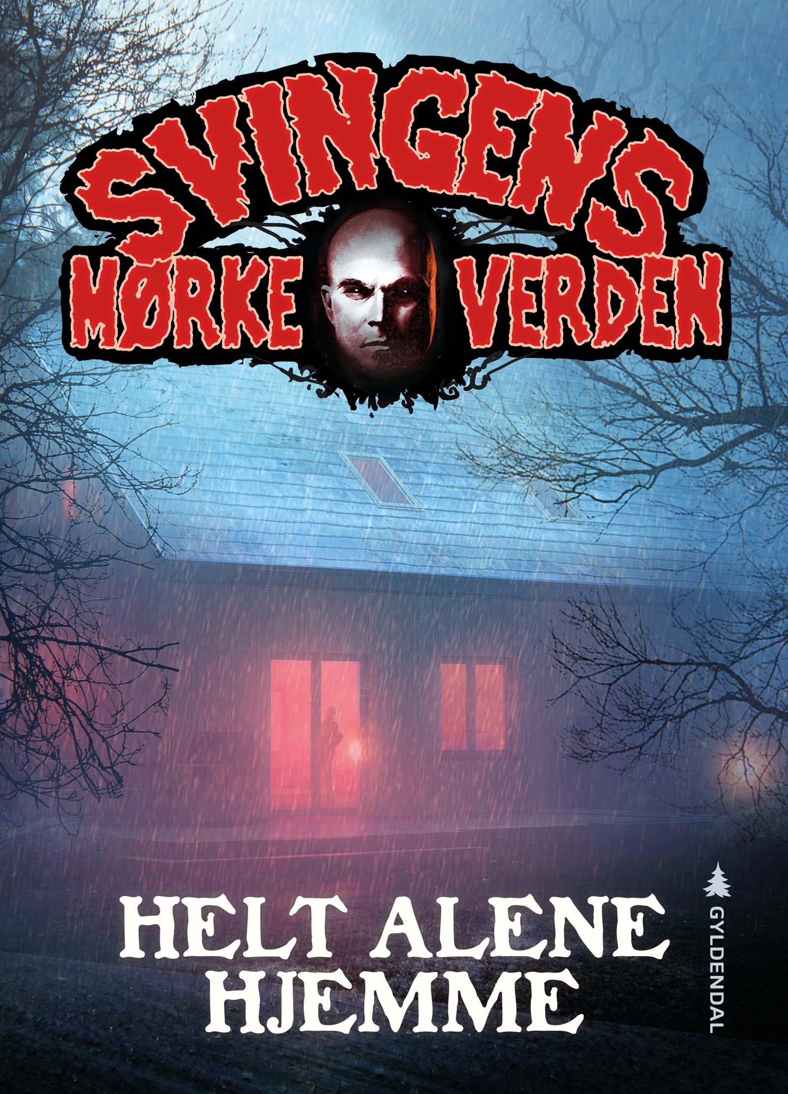 Cover of Home Alone