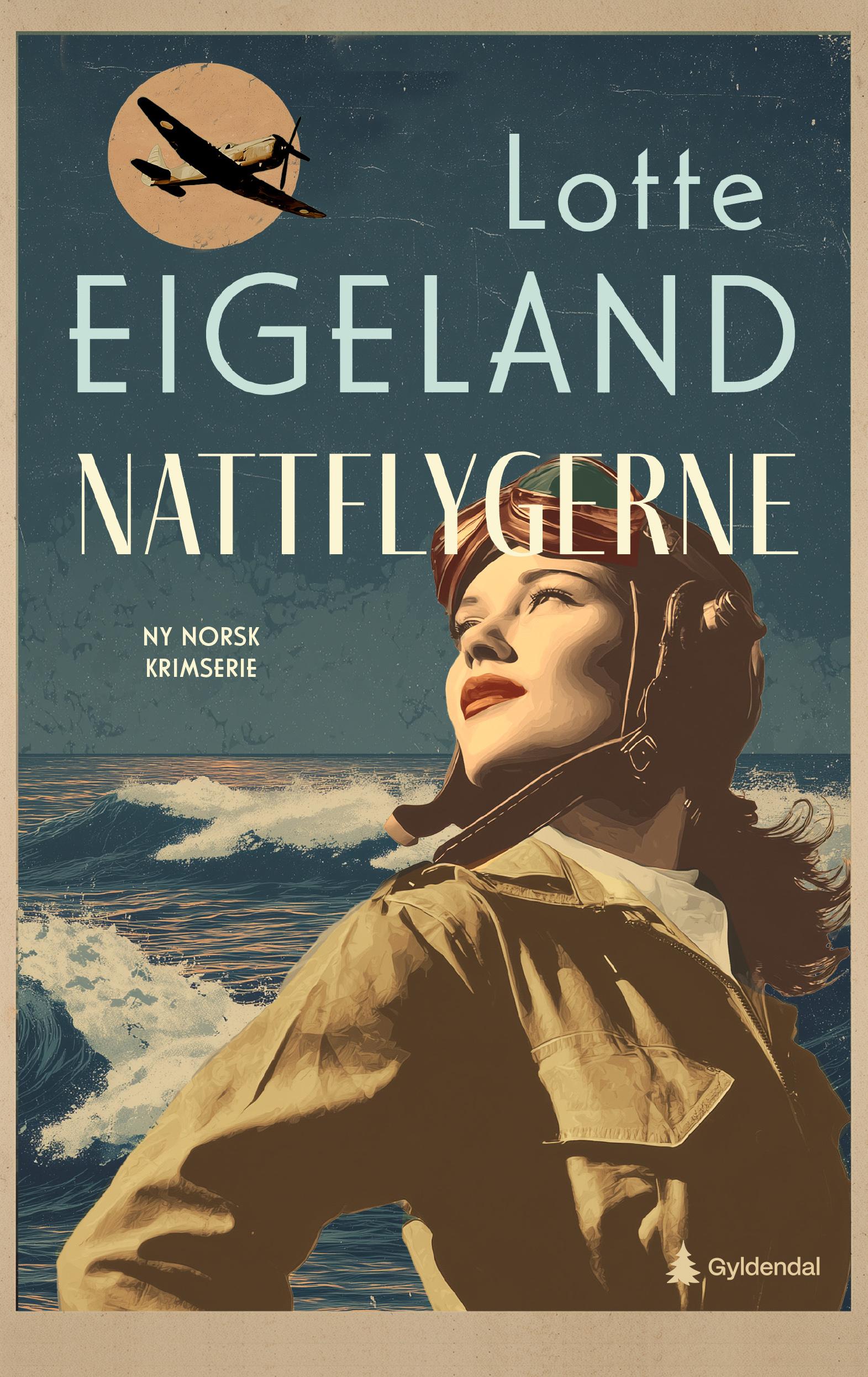 Cover of The Night Flyers