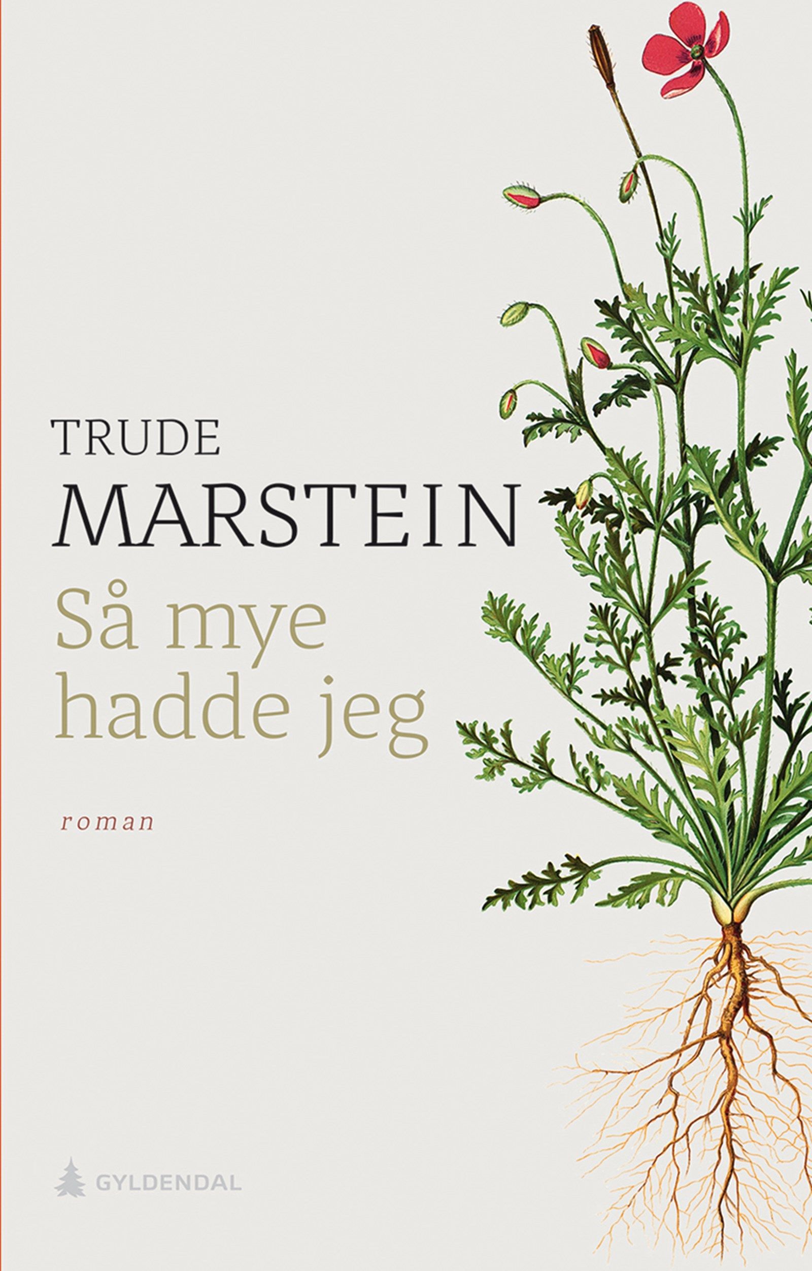 Cover of Conscience