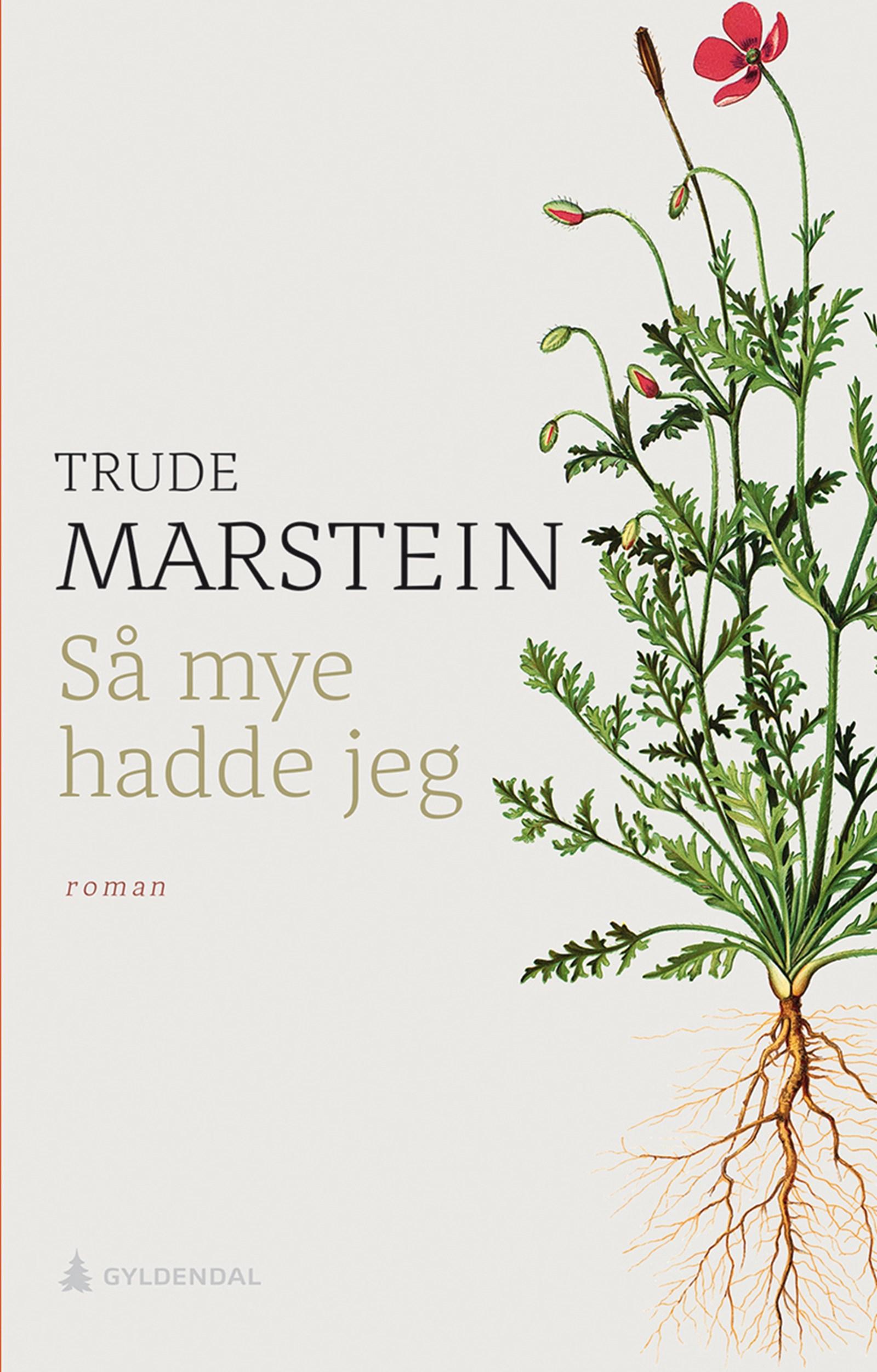 Cover of Conscience