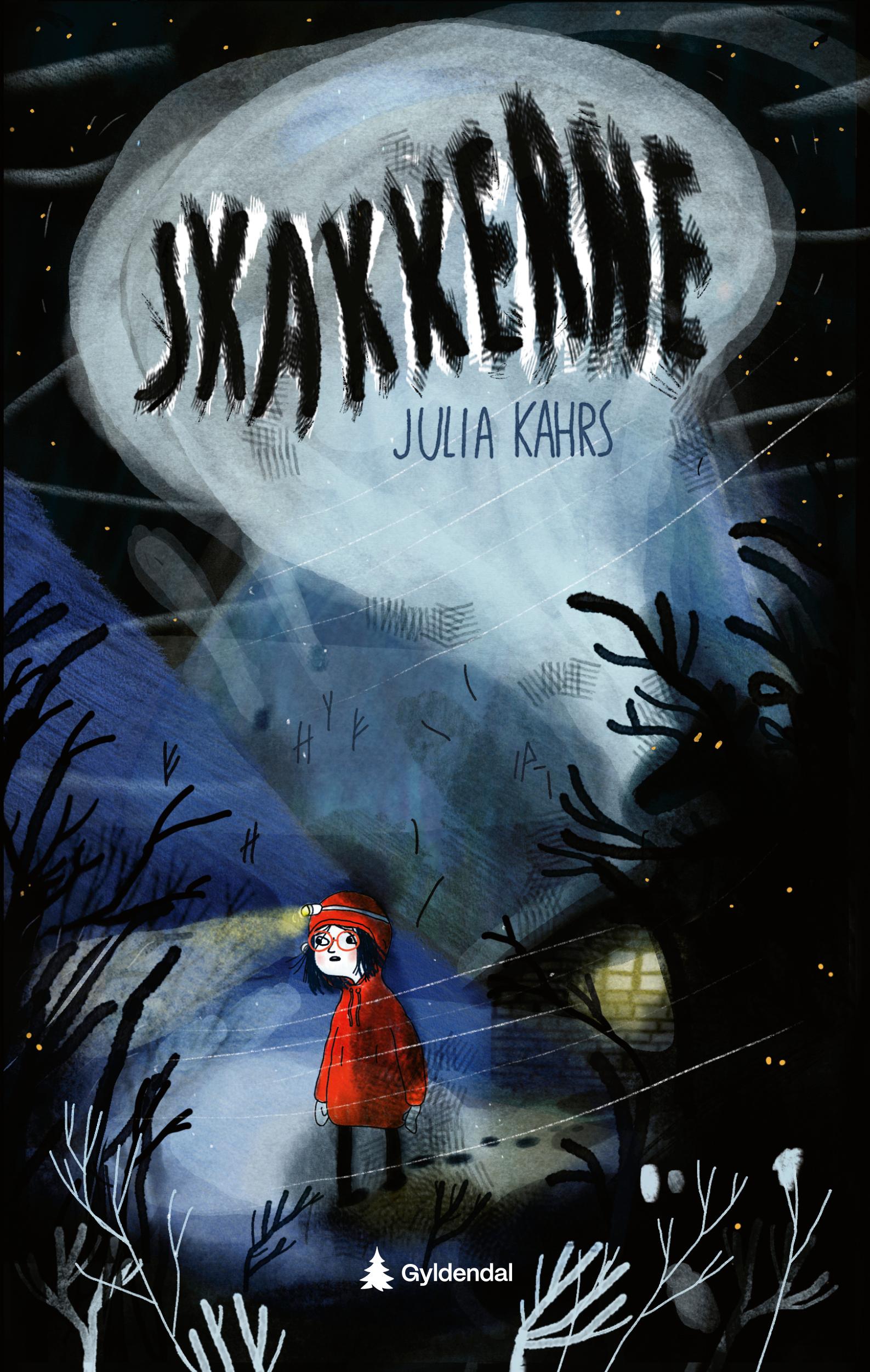 Cover of The Hidden Village