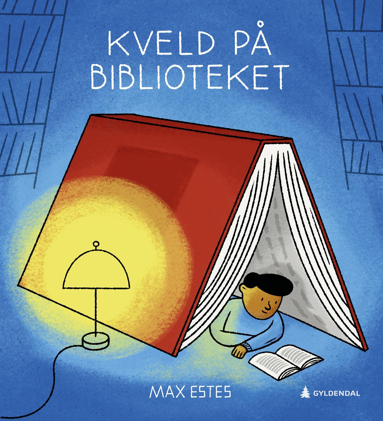 Cover of Evening at the Library