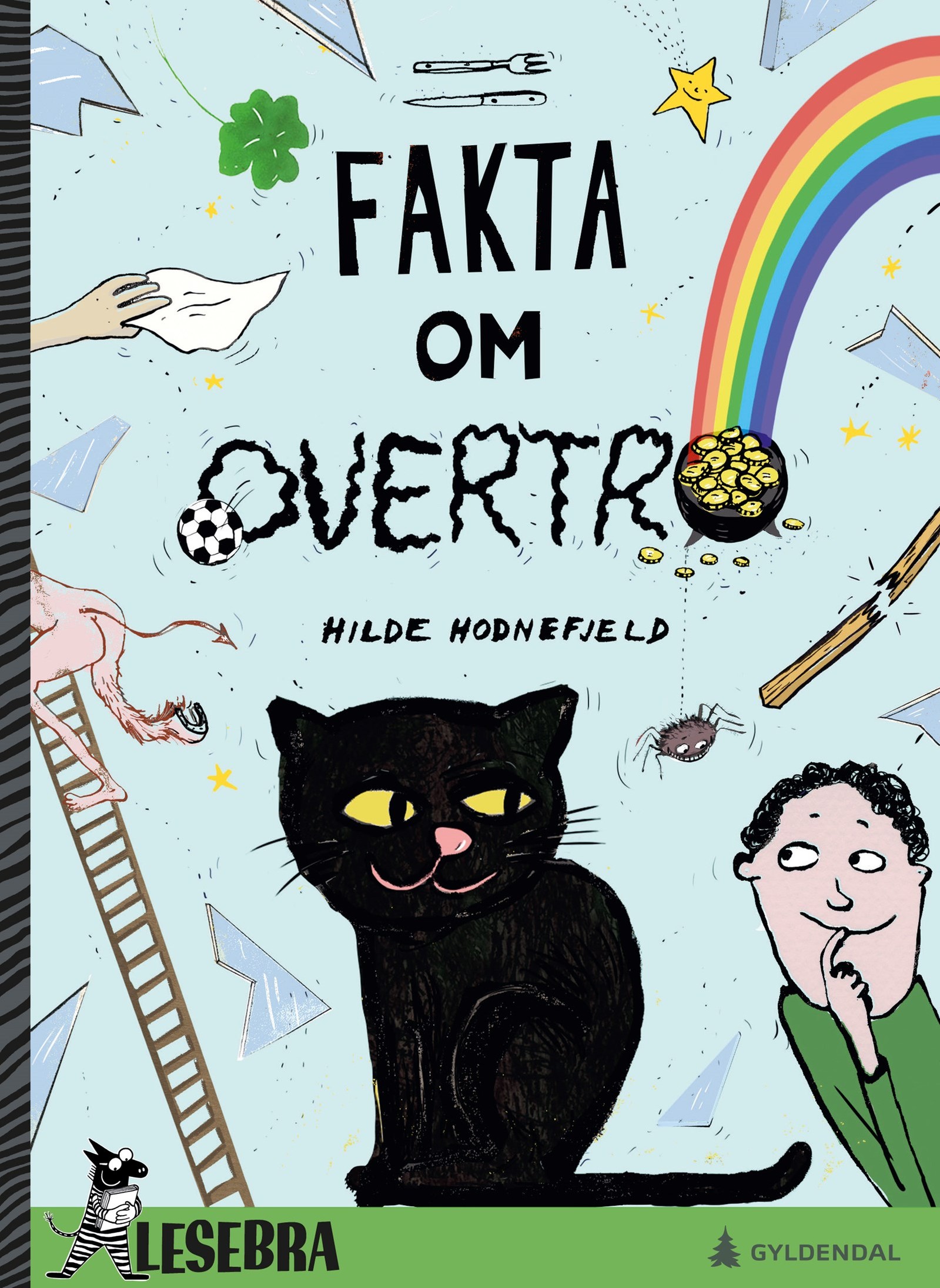 Cover of Facts about Superstition