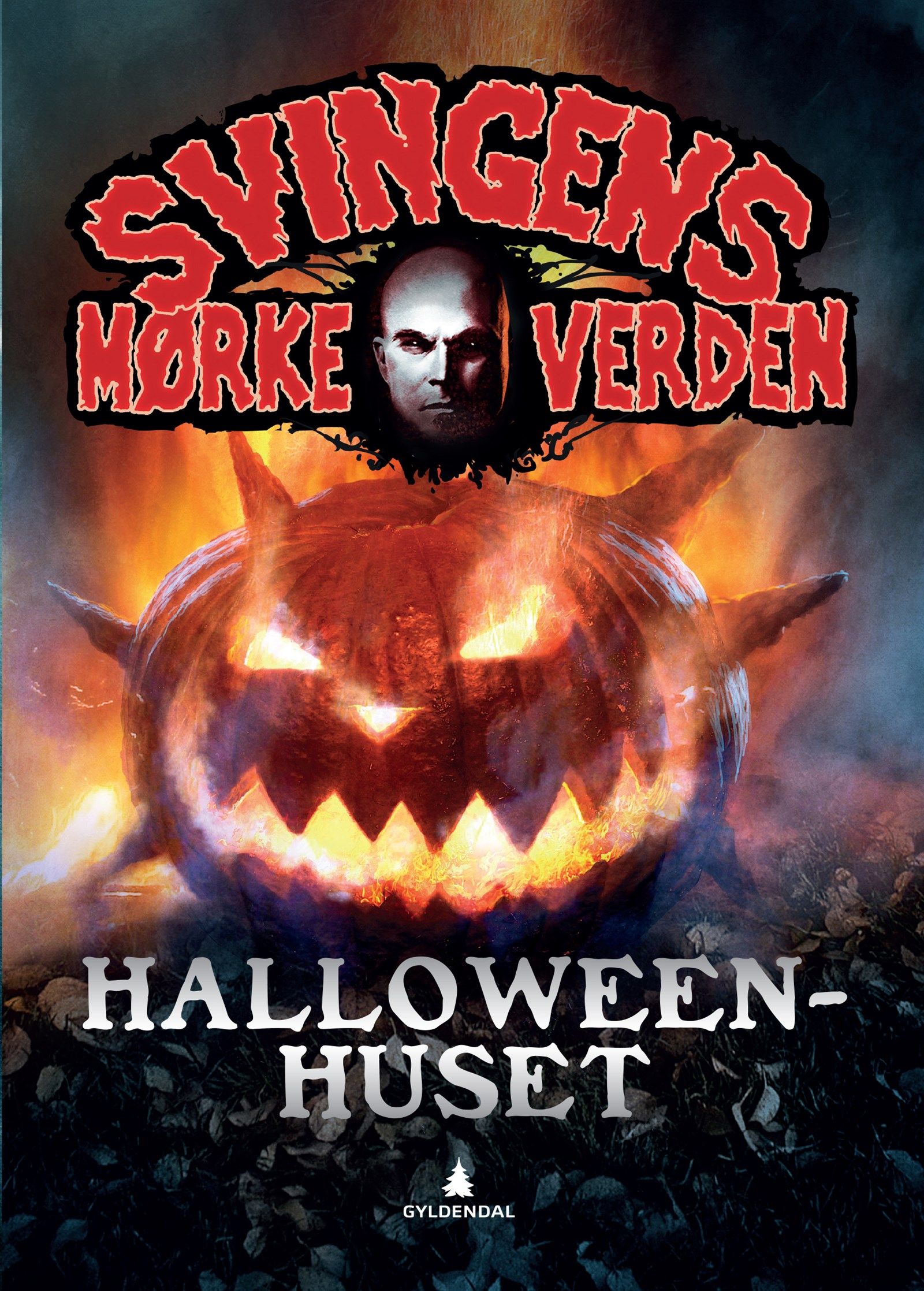 Cover of The Halloween House