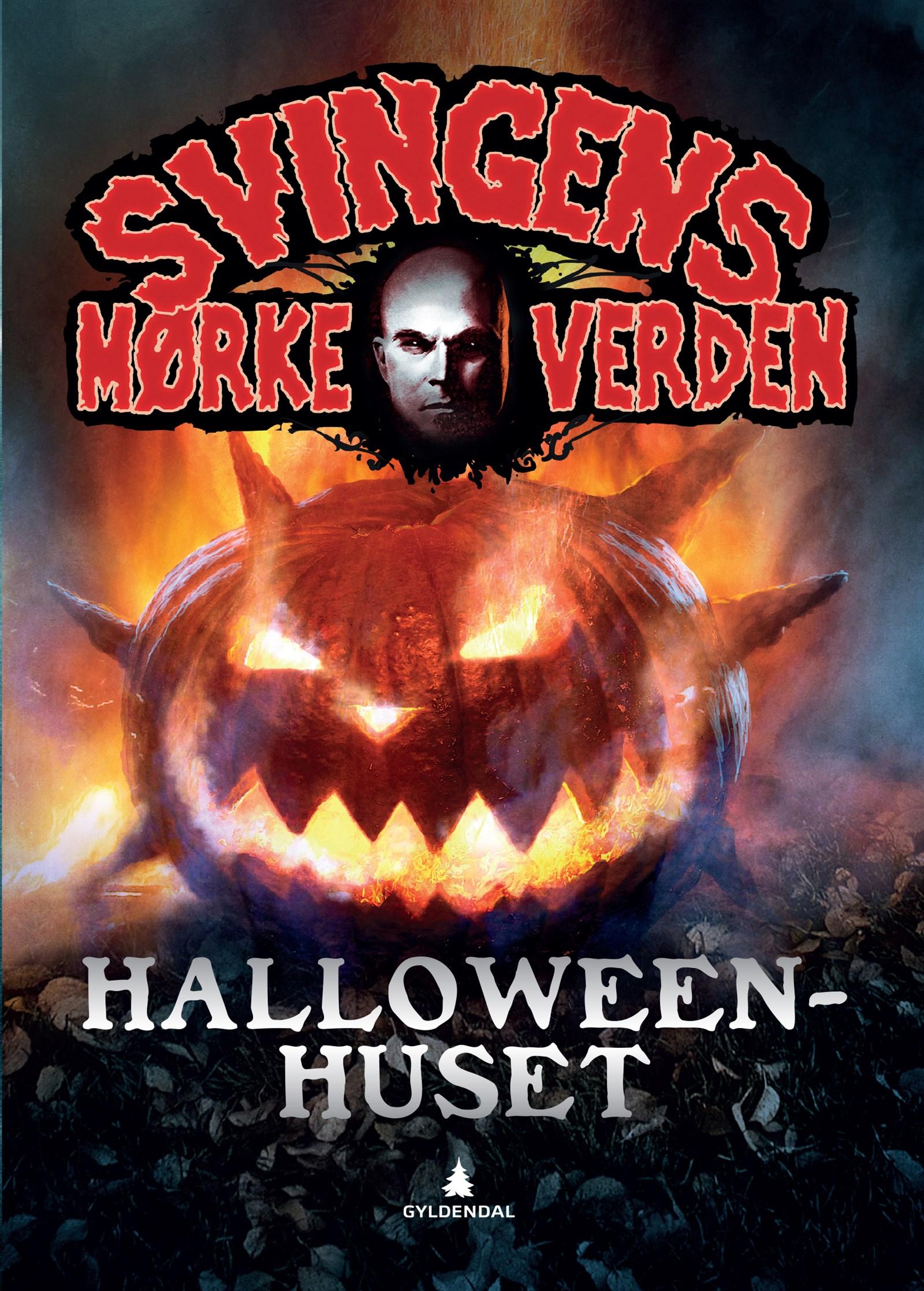 Cover of The Halloween House