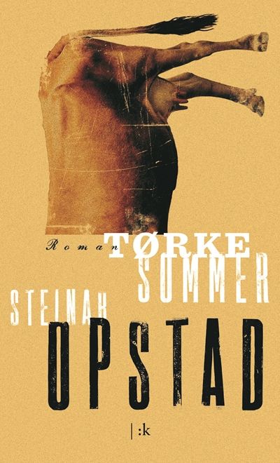 Cover of Drought Summer