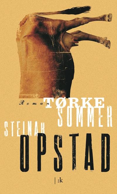 Cover of Drought Summer