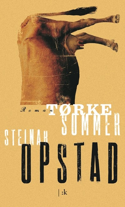 Cover of Drought Summer