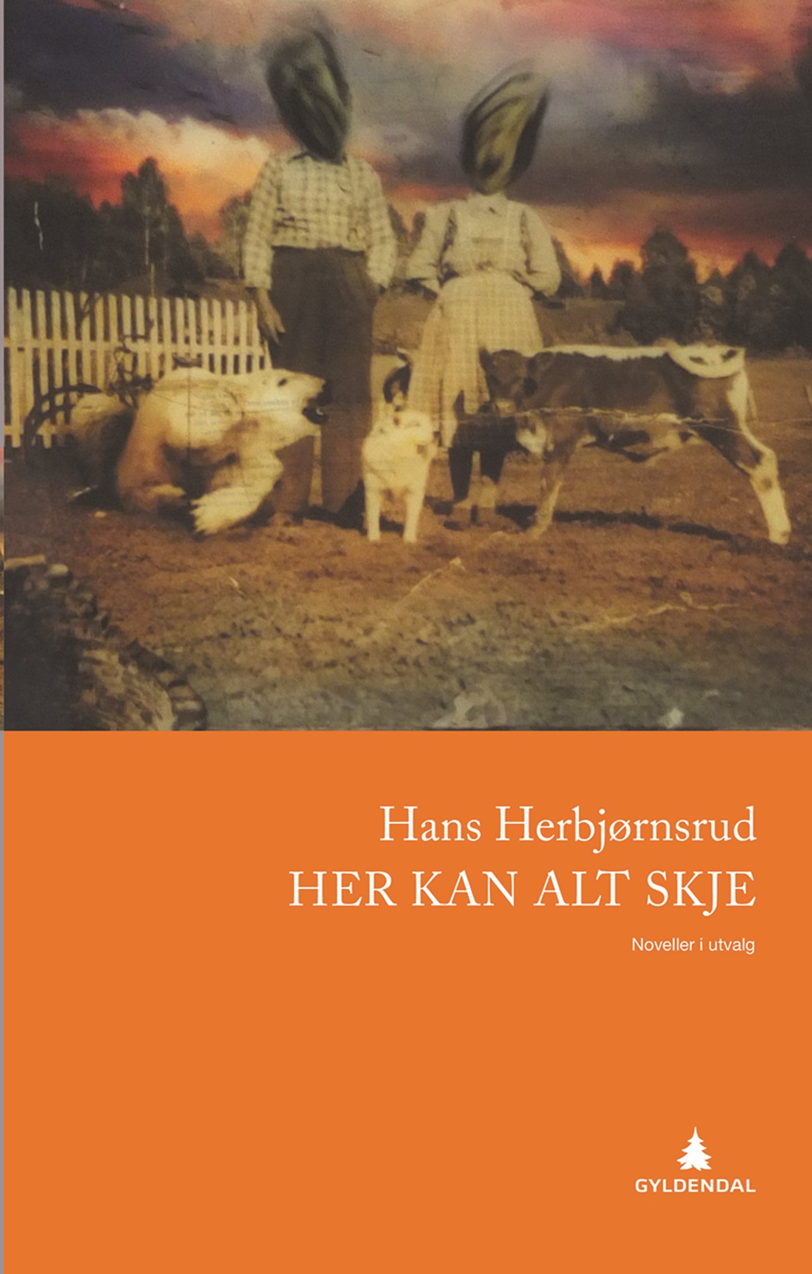Cover of Anything Can Happen Here